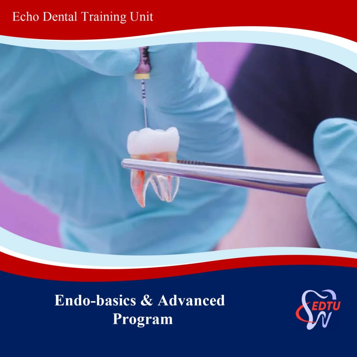 Endodontic Course